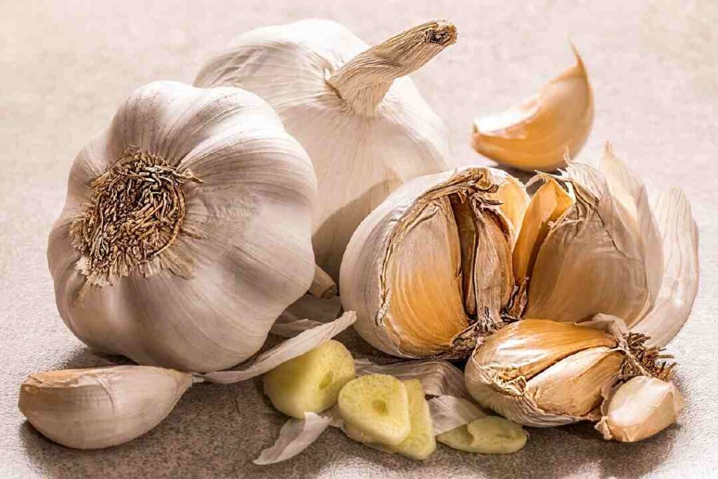 Benefits of raw garlic ingredient